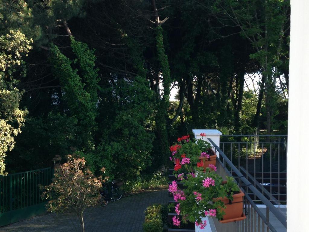 Residence Casa Bianca Marina di Massa Eksteriør bilde